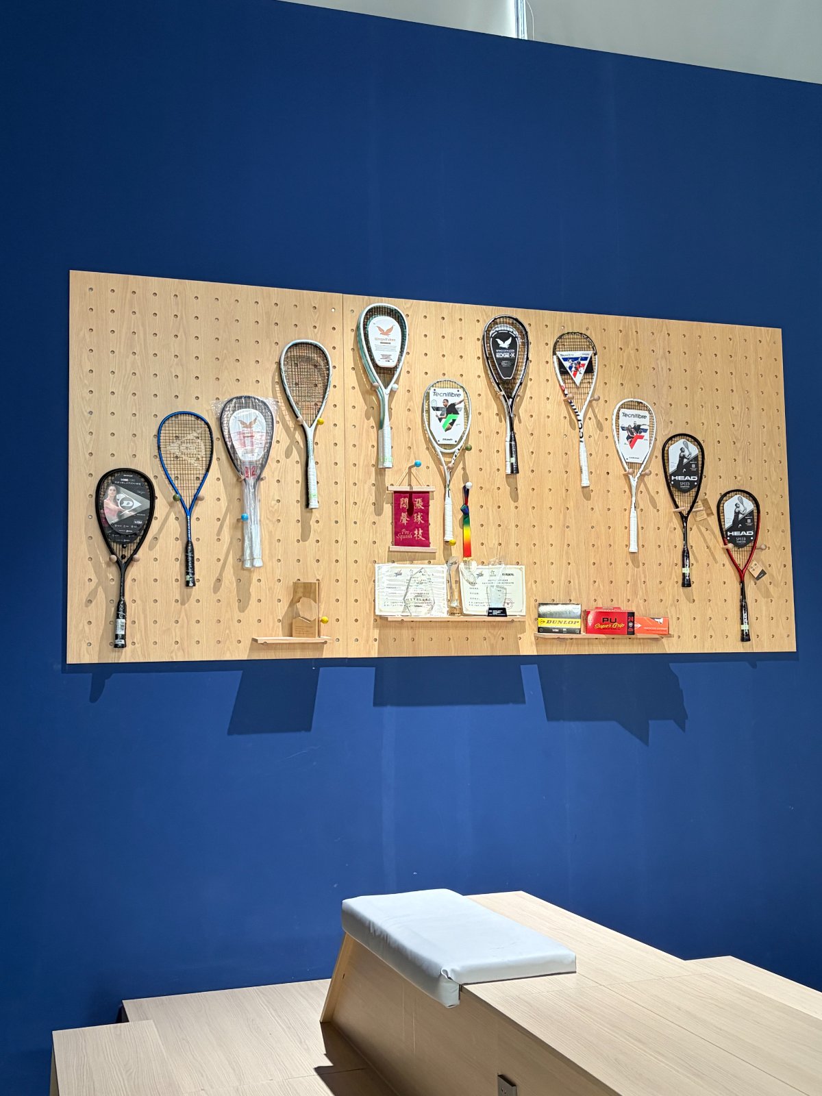 Pro Squash Academy  壁球馆
